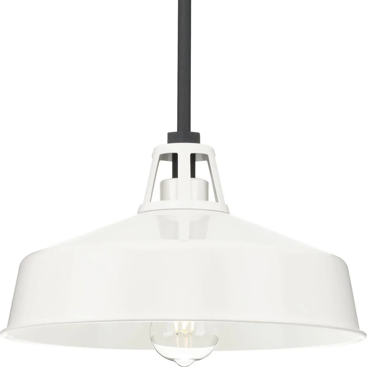 Cedar Springs Collection One-Light Outdoor Hanging Light