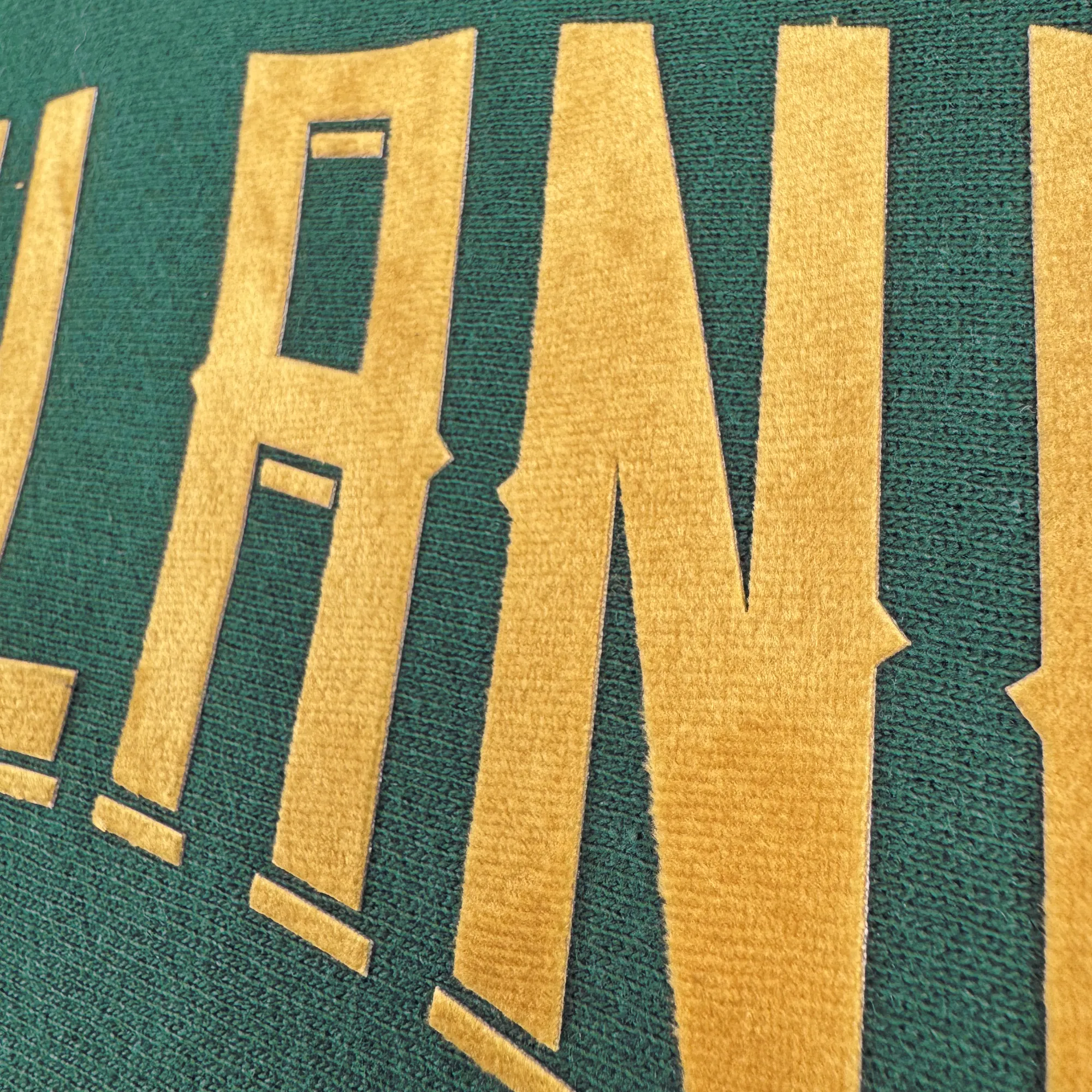 Champion X Oakland Ballers Wordmark Hoodie