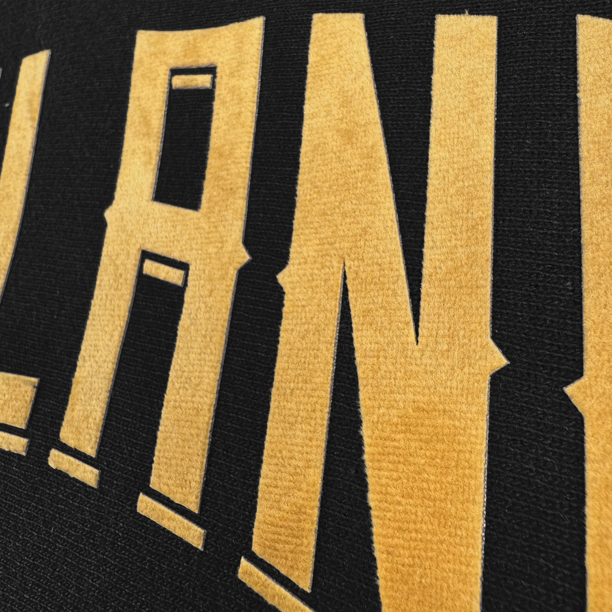 Champion X Oakland Ballers Wordmark Hoodie