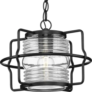 Keegan Collection One-Light Clear Glass Outdoor Hanging Lantern