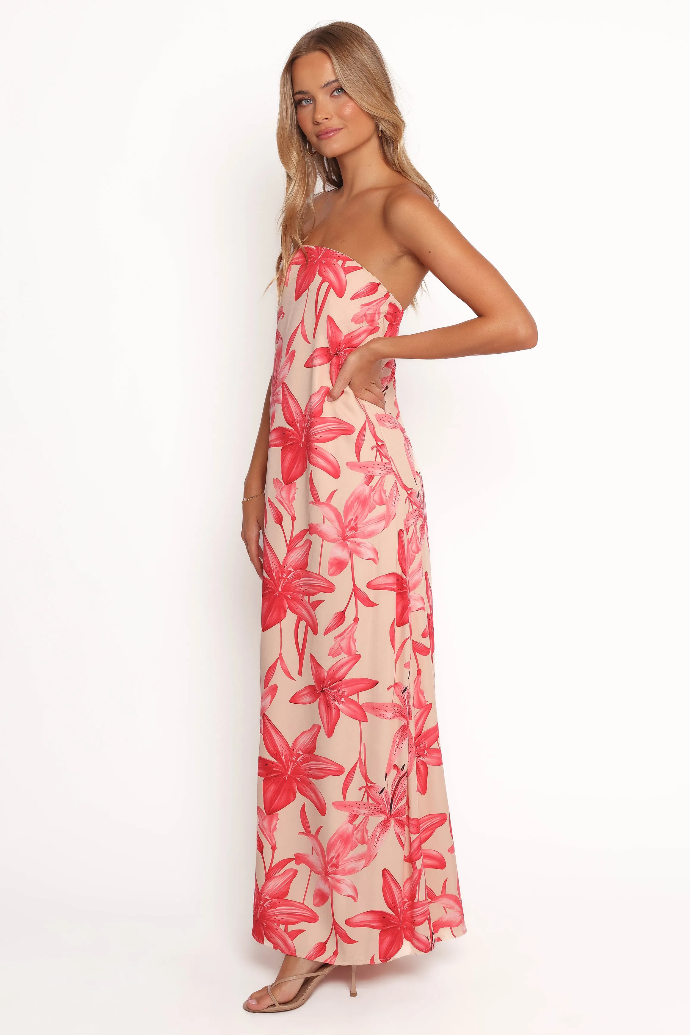 Lani A Line Strapless Maxi Dress - Pink Floral