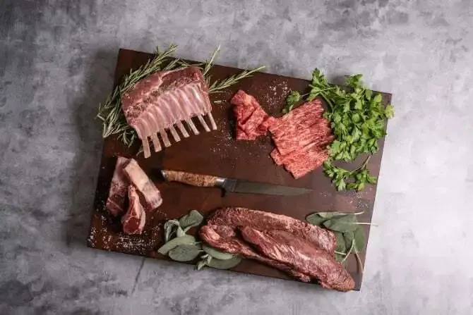 Steelport Boning Knife