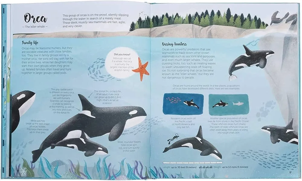 The World of Whales